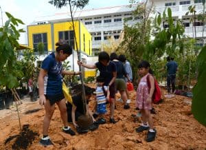 Tree planting by a group of people
