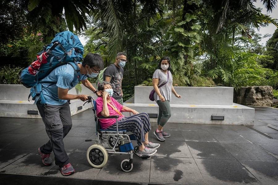 A man pushes an older woman in a wheelchair along an accessible path through a tropical garden, accompanied by two other visitors. 