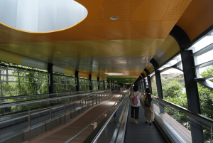Visitors using a covered travelator along a wide, step-free walkway surrounded by greenery at Sentosa.