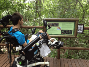 A wheelchair user reading an information sign along an accessible wooden boardwalk surrounded by greenery.